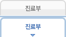 진료부