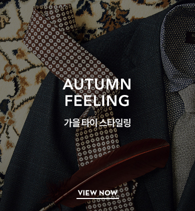 AUTUMN FEELING - 가을 타이 스타일링